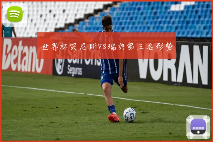 世界杯突尼斯vs瑞典第三名形势