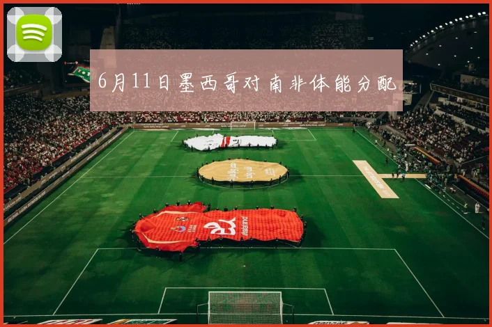 6月11日墨西哥对南非体能分配