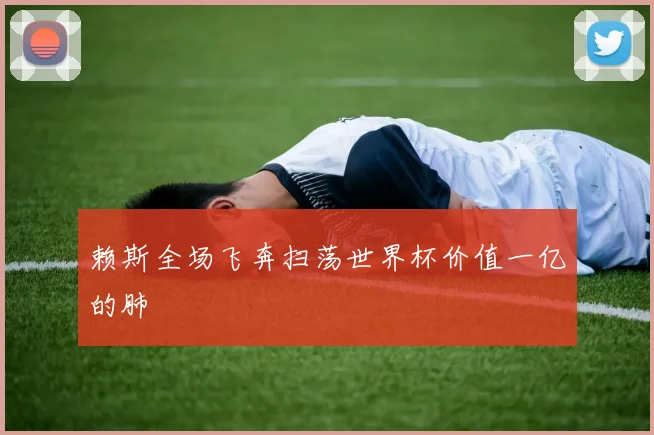 赖斯全场飞奔扫荡世界杯价值一亿的肺