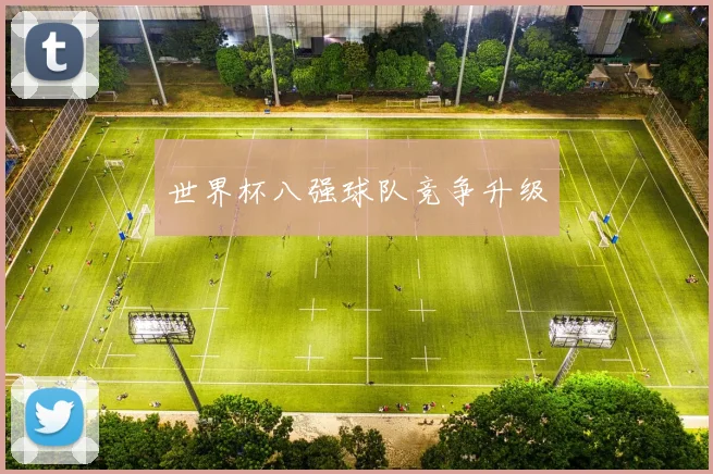 世界杯八强球队竞争升级