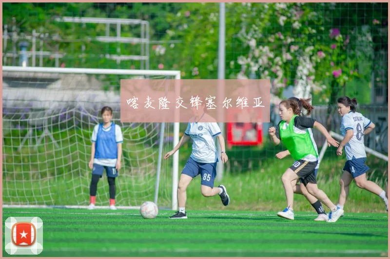 喀麦隆交锋塞尔维亚